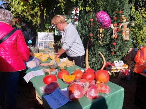Dziś Święto Dyni w Ogrodzie Botanicznym - 5