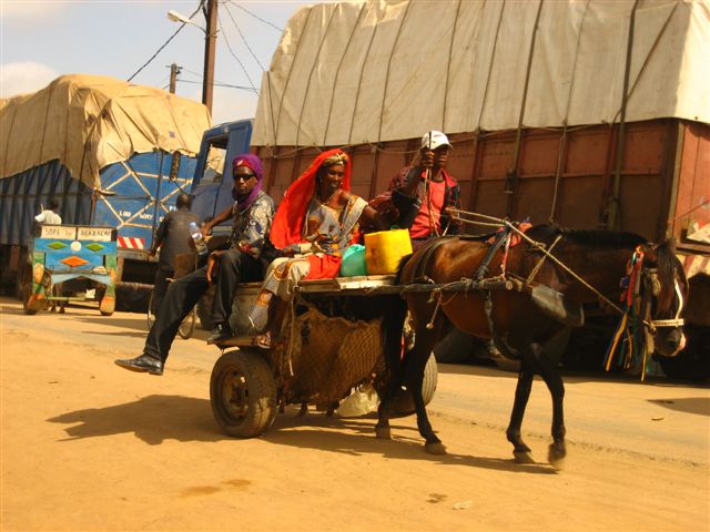 Paryż, Dakar i Australia - 15