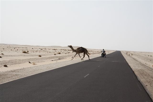 Paryż, Dakar i Australia - 3