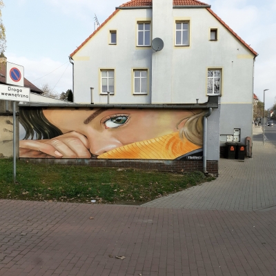 W Dzierżoniowie murale powstają jak grzyby po deszczu [ZDJĘCIA] - 13