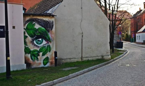W Dzierżoniowie murale powstają jak grzyby po deszczu [ZDJĘCIA] - 2