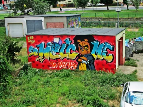W Dzierżoniowie murale powstają jak grzyby po deszczu [ZDJĘCIA] - 7