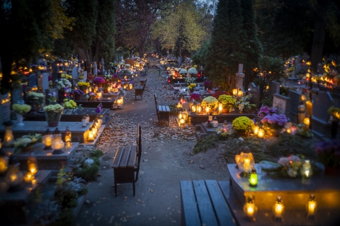 Charytatywne zbiórki pieniędzy na wrocławskich cmentarzach  - 2