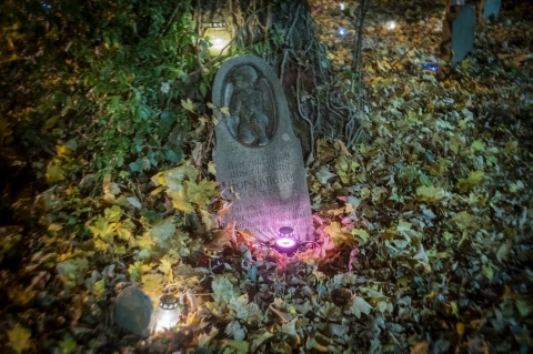 Charytatywne zbiórki pieniędzy na wrocławskich cmentarzach  - 6