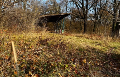 Dawna estrada na Wyspie Opatowickiej [FOTOSPACER] - 2