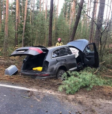 Kradzionym autem śmiertelnie potrącił człowieka i uciekł do lasu - obława wstrzymana, ale jest portret pamięciowy [ZDJĘCIA] - 0