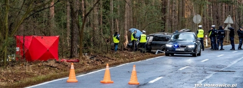 Kradzionym autem śmiertelnie potrącił człowieka i uciekł do lasu - obława wstrzymana, ale jest portret pamięciowy [ZDJĘCIA] - 3