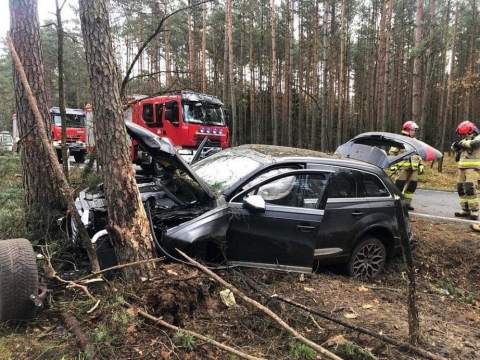 Kradzionym autem śmiertelnie potrącił człowieka i uciekł do lasu - obława wstrzymana, ale jest portret pamięciowy [ZDJĘCIA] - 5