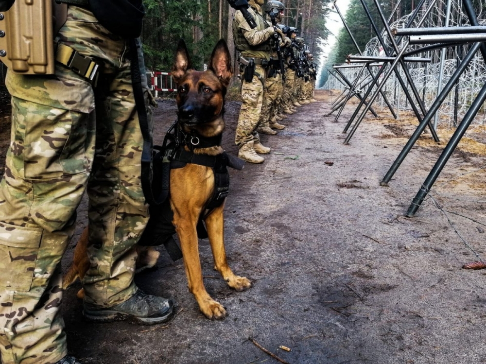 Dolnośląscy mundurowi dołączyli do służb pilnujących pogranicza z Białorusią - fot Dolnośląska Policja