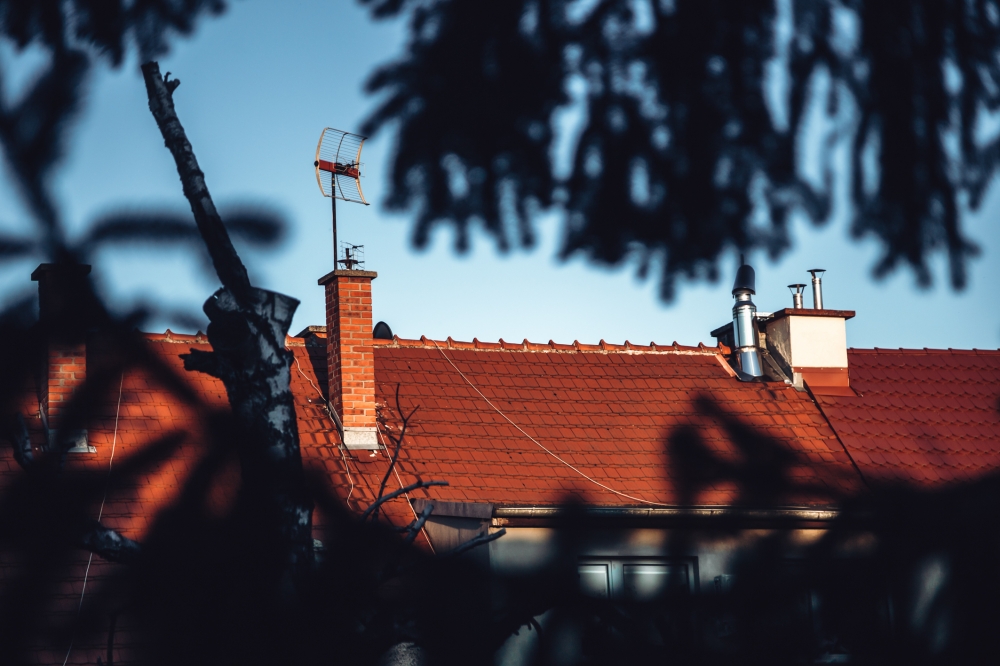 Zielony dach albo ściana zwolnią z podatku na kilka lat - zdjęcie ilustracyjne fot. Patrycja Dzwonkowska