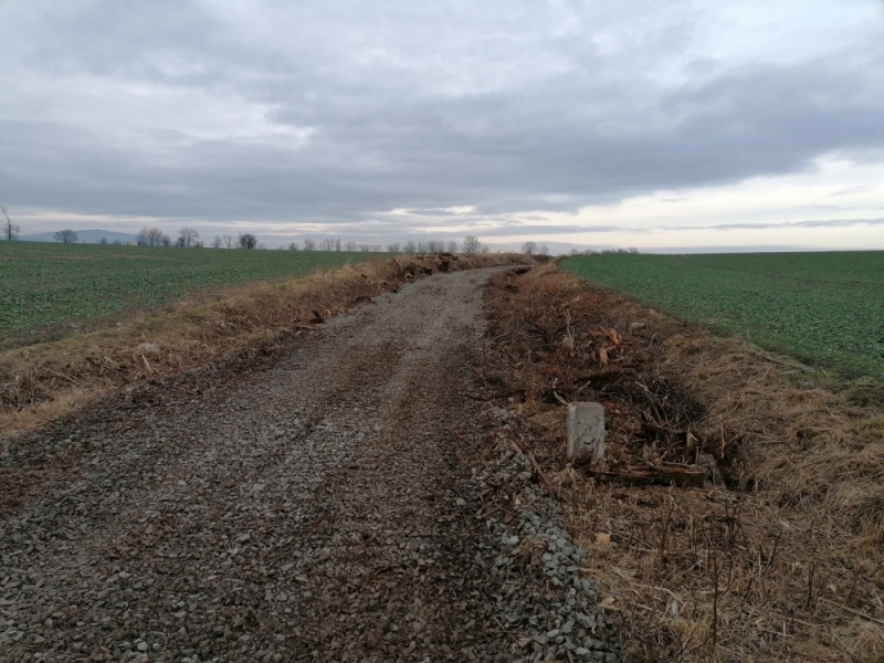Linia kolejowa z Kobierzyc do Niemczy coraz bliżej remontu - fot. Stacja Dzierżoniów Śląski