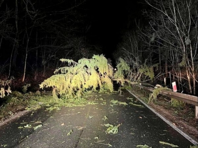 UWAGA na silny wiatr! Kilkaset interwencji straży pożarnej. Dwie osoby poszkodowane