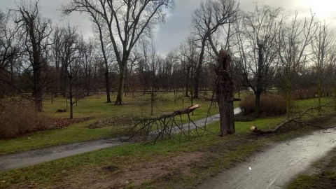 UWAGA na silny wiatr! Kilkaset interwencji straży pożarnej. Dwie osoby poszkodowane - 2