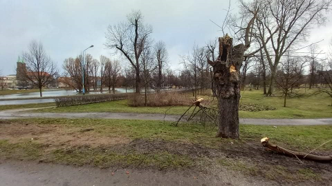 UWAGA na silny wiatr! Kilkaset interwencji straży pożarnej. Dwie osoby poszkodowane - 3