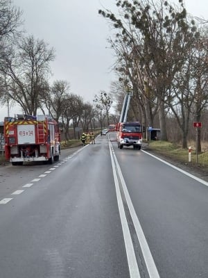 UWAGA na silny wiatr! Kilkaset interwencji straży pożarnej. Dwie osoby poszkodowane - 5