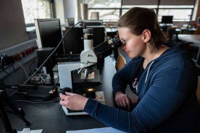 Politechnika Wrocławska otwiera nowy, wyczekiwany kierunek studi&oacute;w