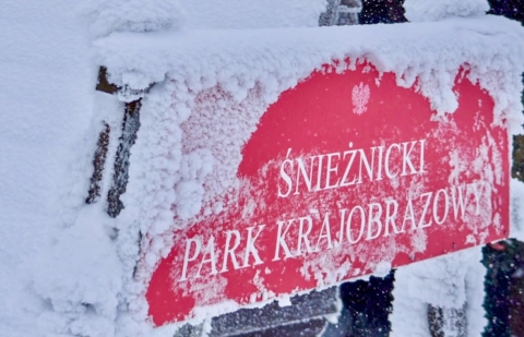 Masyw Śnieżnika dla Dolnośląskich Terytorialsów bez tajemnic - 7