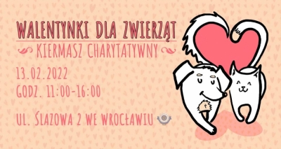 Walentynki... we wrocławskim schronisku dla bezdomnych zwierząt