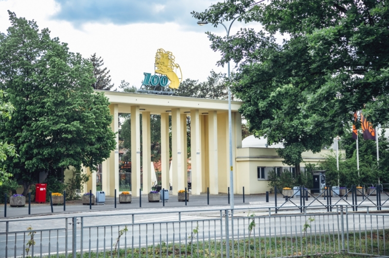 Wrocławskie zoo przekazało 100 tys. zł na pomoc ukraińskim ogrodom zoologicznym - fot. RW