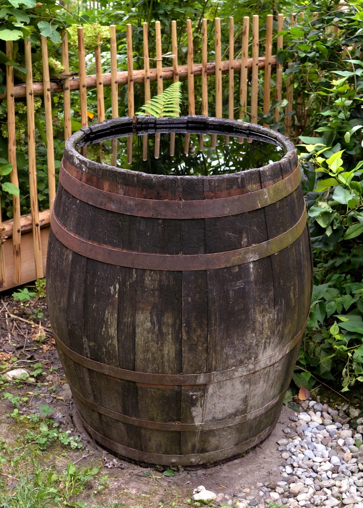 „Kłodzko chwyta wodę”.  Urząd rozda mieszkańcom 200 zbiorników na deszczówkę - fot. pixabay (zdjęcie ilustracyjne)
