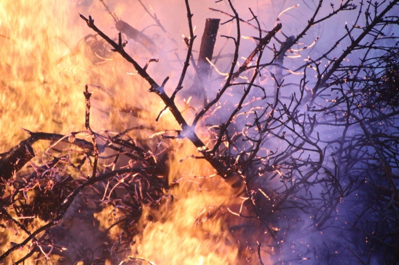Leśnicy jak strażacy – wypatrują ognia w lesie - Fot: zdjęcie ilustracyjne, Pixabay