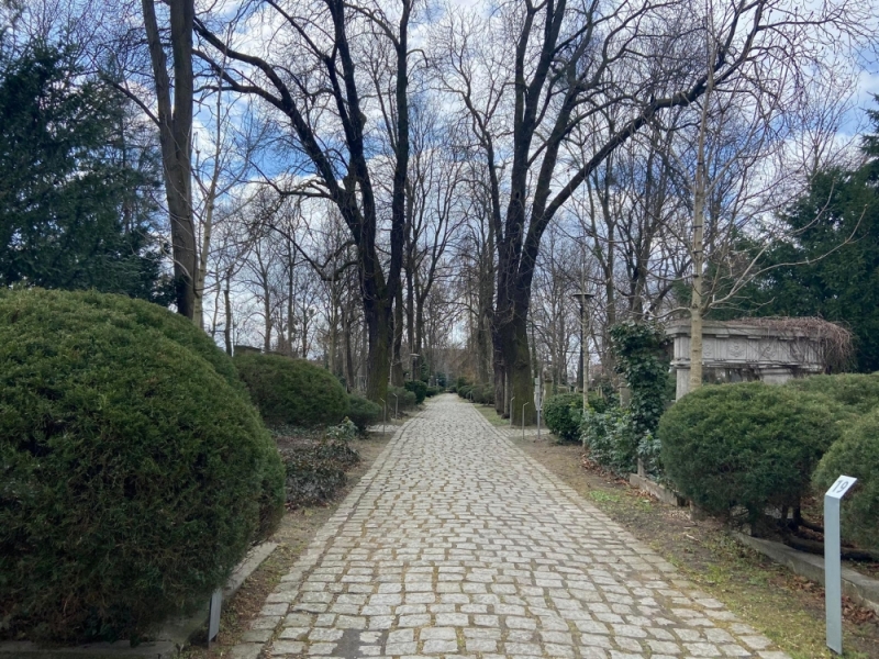 Po zimowej przerwie, na Cmentarzu Żydowskim we Wrocławiu ruszają spacery z przewodnikiem - Fot. Martyna Czerwińska