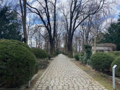Po zimowej przerwie, na Cmentarzu Żydowskim we Wrocławiu ruszają spacery z przewodnikiem