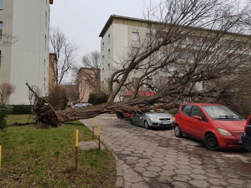 13-kilometrowy korek na A4 [AKTUALNOŚCI Z DRÓG] - zdjęcie ilustracyjne; fot. archiwum Radia Wrocław