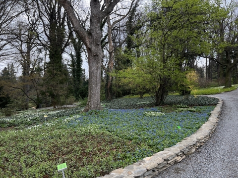 Arboretum w Wojsławicach otwiera się po zimowej przerwie - 2
