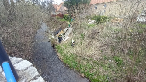 Zaledwie kilka minut i worki zapełniły się śmieciami - w Bolkowie wielkie sprzątanie - 1