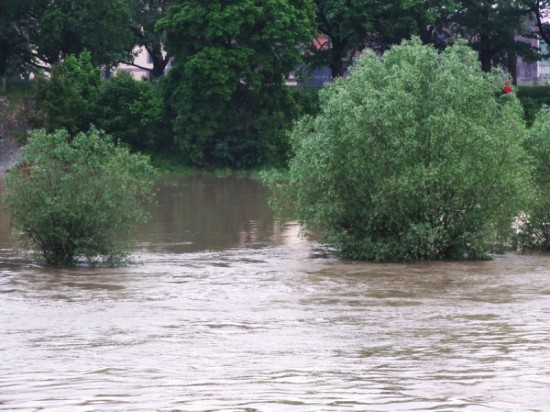 Wysoki poziom rzek w regionie -