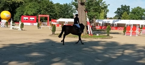 DRJ: Strzegom Horse Trials - 15