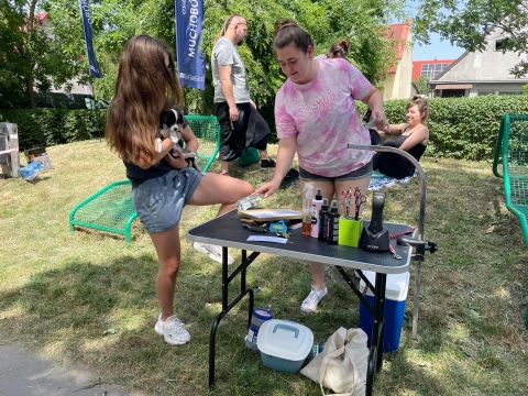 Psi Piknik we Wrocławiu - 6