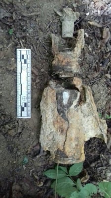 Przeciwpancerna bomba lotnicza znaleziona w Wolbromowie [FOTO] - 1