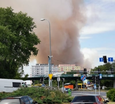Spory pożar w Lubinie. Płoną zboża w pobliżu S3