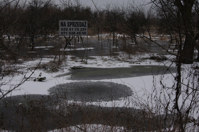 Dmuchają na zimne