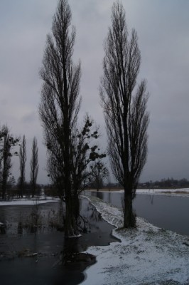 Dmuchają na zimne - 4