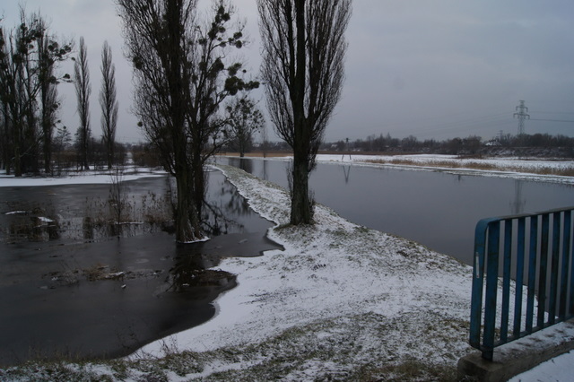 Dmuchają na zimne - 5