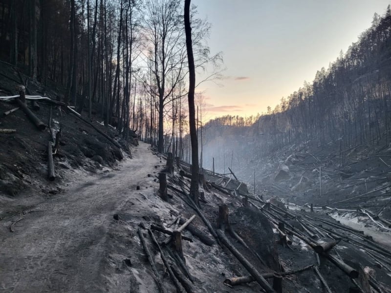 Pożar w Czeskiej Szwajcarii. Dolnośląskie parki pomogą opanować ogień - fot. PS/ KPN