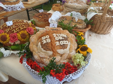 Ołdrzychowice gospodarzem dożynek gminy Kłodzko - 1