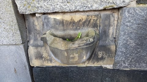 Najstarszy, działający legnicki cmentarz kończy dziś 200 lat [ZDJĘCIA] - 2