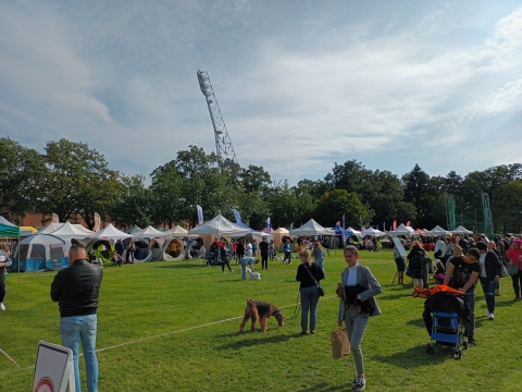 XXIX Międzynarodowa Wystawa Psów Rasowych we Wrocławiu [ZDJĘCIA] - 18