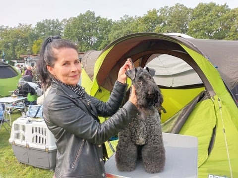 XXIX Międzynarodowa Wystawa Psów Rasowych we Wrocławiu [ZDJĘCIA] - 23