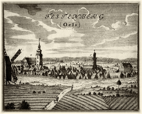Wdówka z długami – Matka Twardogóry. Dolnośląskie Tajemnice odkrywamy z Joanną Lamparską [FILM] - 10