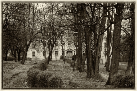 Wdówka z długami – Matka Twardogóry. Dolnośląskie Tajemnice odkrywamy z Joanną Lamparską [FILM] - 7