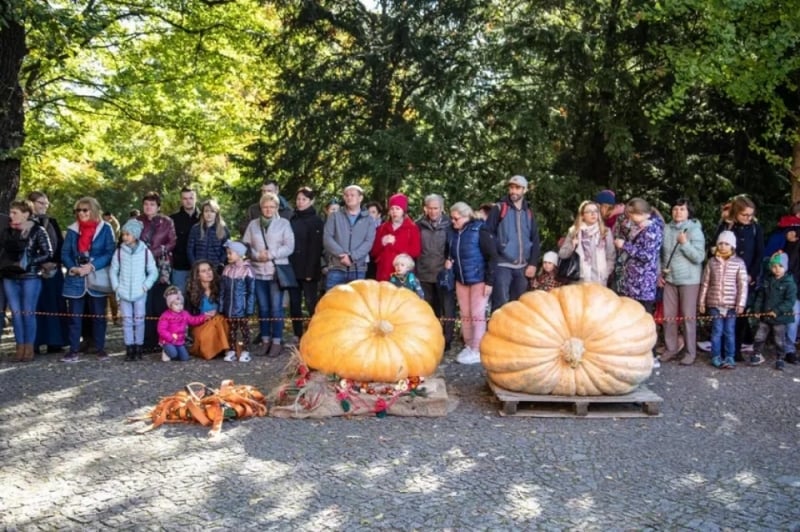 Łuskanie pestek na czas? W Ogrodzie Botanicznym XIX Dolnośląski Festiwal Dyni - fot. Ogród Botaniczny we Wrocławiu