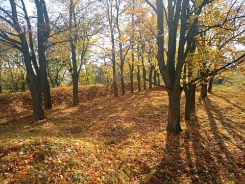 Jaki będzie los kłodzkiej warowni? Trwa spór o Twierdzę Kłodzko - 2