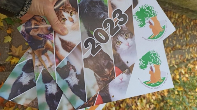 Specjalny kalendarz ma zmotywować do wsparcia wałbrzyskiego schroniska - fot. Schronisko Dla Zwierząt Wałbrzych