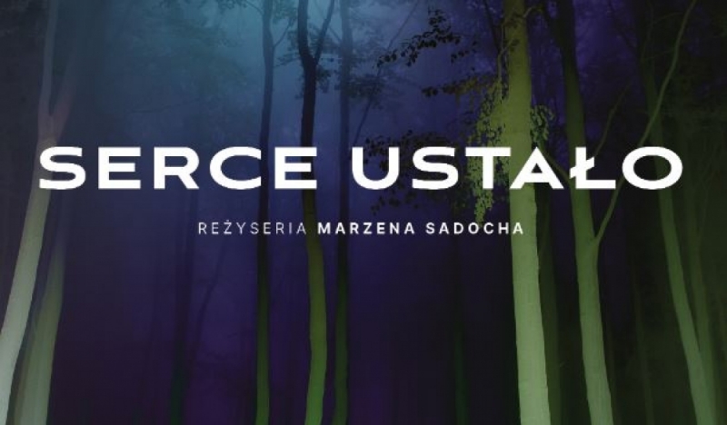 I Wrocławska Noc Dziadów - teatralna instalacja dla Głuchych i słyszących - fot. mat. prasowe