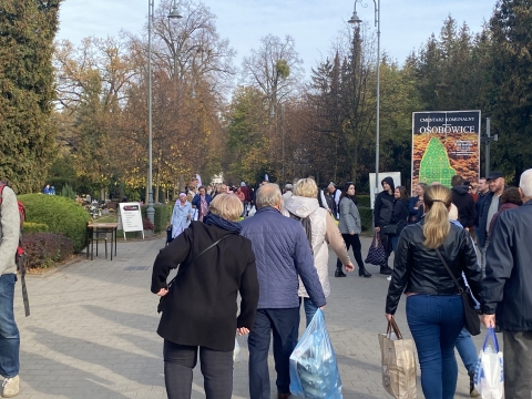 Wszystkich Świętych. Tłoczno w okolicach cmentarzy w regionie - 0